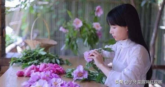 李子柒创业案例分析-1 李子柒创业案例分析-1