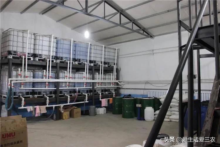 在家办洗衣液厂可靠吗（加工洗衣液前景）-1