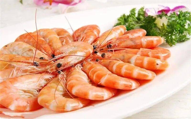 农村现在养殖什么东西最有前景(农村养殖项目)-1