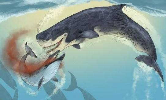 海洋十大霸主排名（史前十大海洋巨兽排行榜）-1
