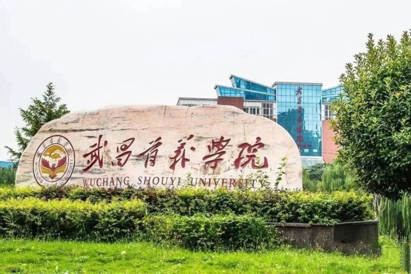 湖南十大民办学校（湖北民办二本大学排名榜）-1