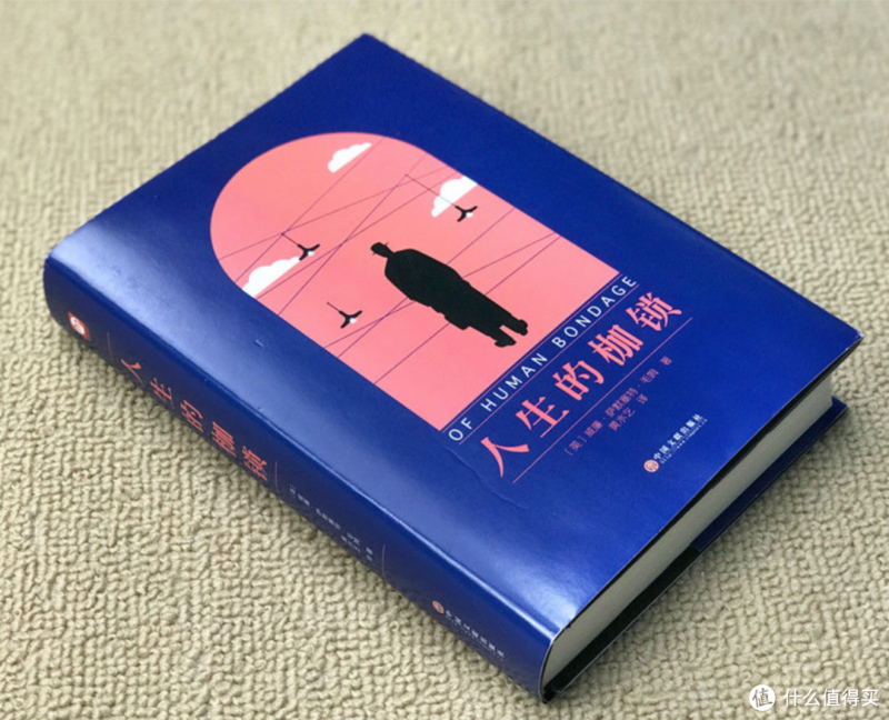 好看的书籍排行榜前十名(好书推荐排行榜)-1