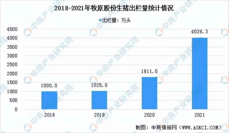 现在养猪前景如何?2022年养猪的前景分析-1 现在养猪前景如何?2022年养猪的前景分析-1