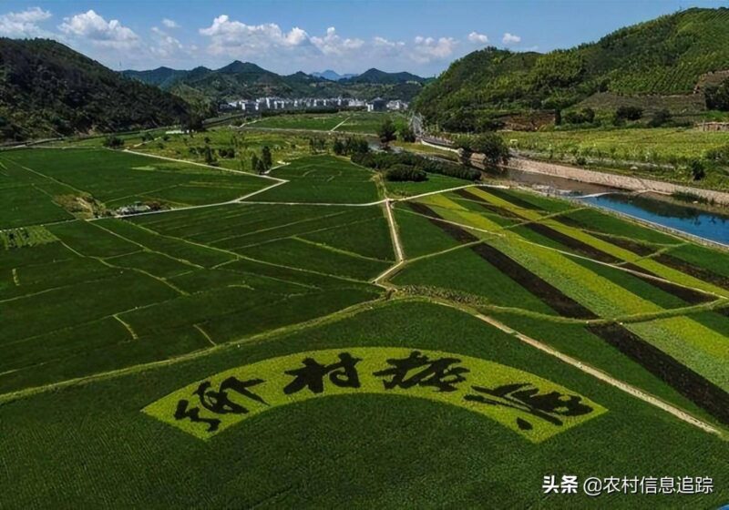 保留农村户口有意义吗-1 保留农村户口有意义吗-1