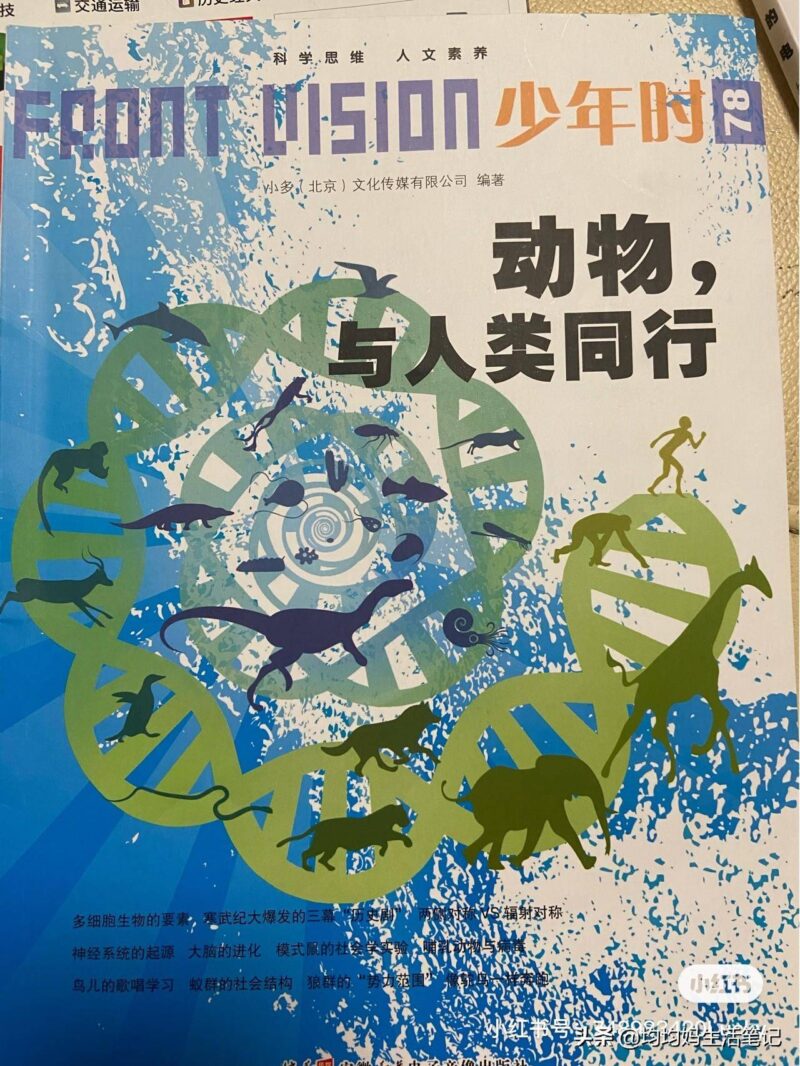 给孩子值得订阅的十大杂志(十大畅销杂志排行榜)-1