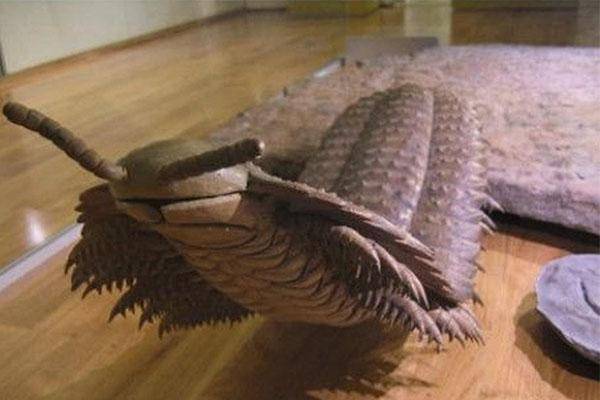 已灭绝的十大最强怪物(十大灭绝的可怕古生物)-1 已灭绝的十大最强怪物(十大灭绝的可怕古生物)-1