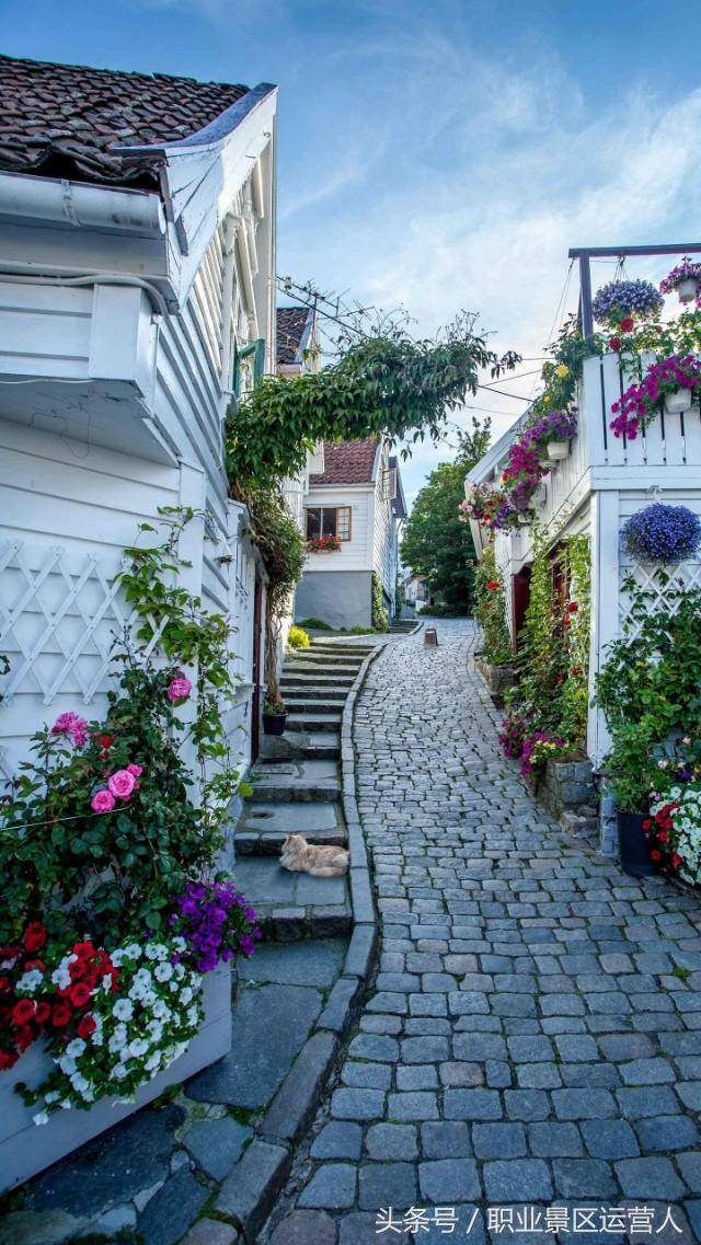 旅游景点做什么生意?适合景区卖的暴利小吃-1