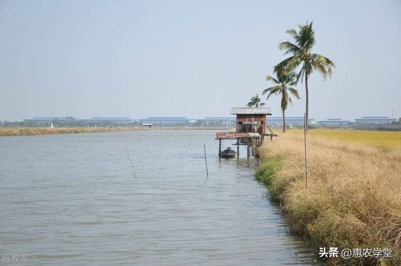 农村养殖政府扶持项目(养殖项目合作国家扶持)-1 农村养殖政府扶持项目(养殖项目合作国家扶持)-1