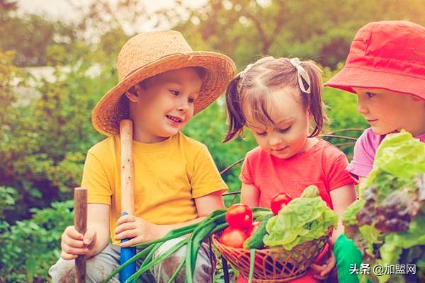 开什么店吸引中老年人(小县城开老人用品店)-1 开什么店吸引中老年人(小县城开老人用品店)-1