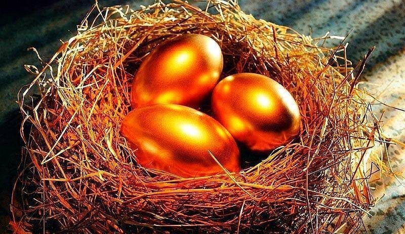 孵化园是干什么的-1