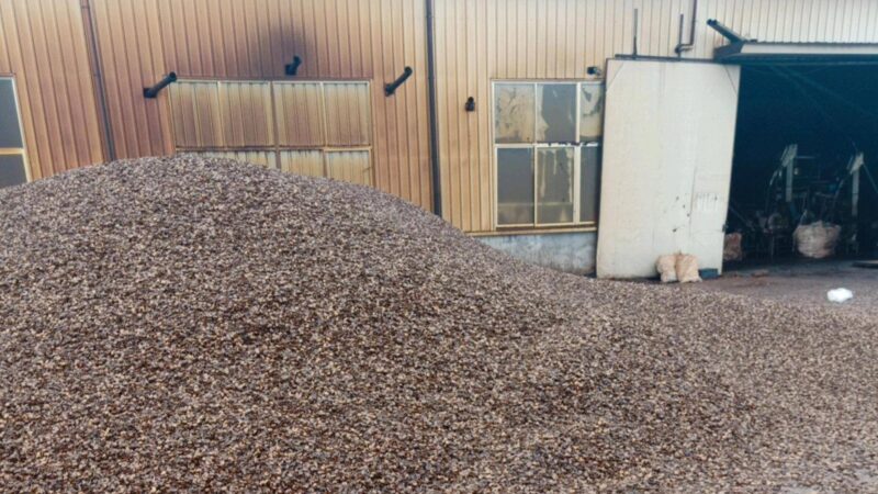 小型加工厂好项目排行榜(小型创业项目排行榜)-1 小型加工厂好项目排行榜(小型创业项目排行榜)-1