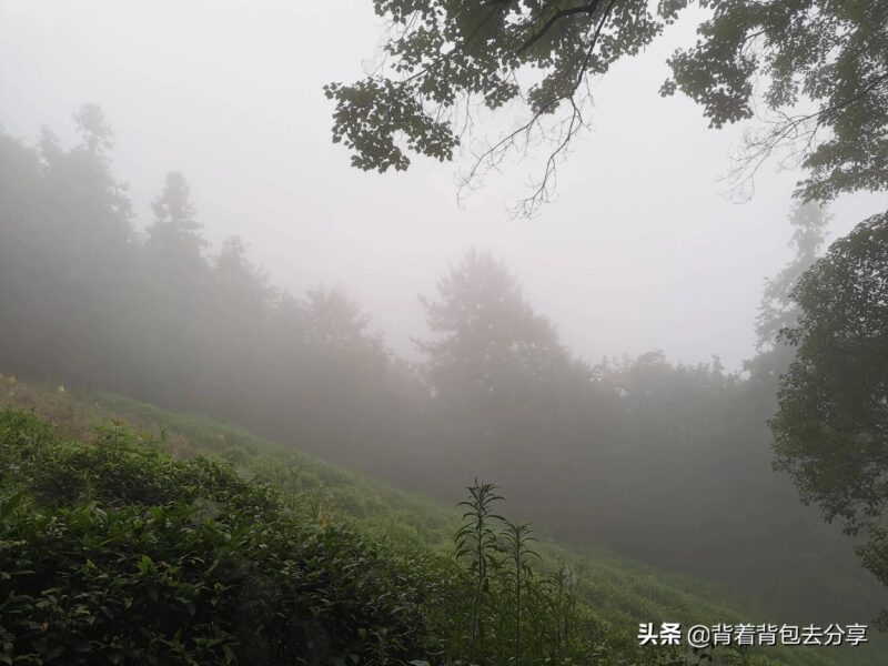 安徽旅游必去十大景点(安徽旅游景点大全排名榜)-1 安徽旅游必去十大景点(安徽旅游景点大全排名榜)-1