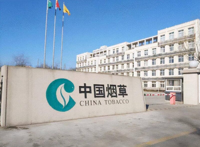 什么烟好抽又显档次(好抽不贵的四款良心烟)-1