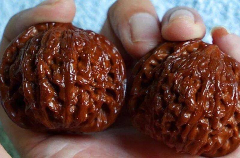 文玩核桃前十名(文玩核桃前十名排行榜)-1 文玩核桃前十名(文玩核桃前十名排行榜)-1