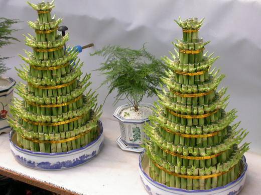富贵竹禁忌摆放位置(富贵竹摆放位置风水讲究)-1