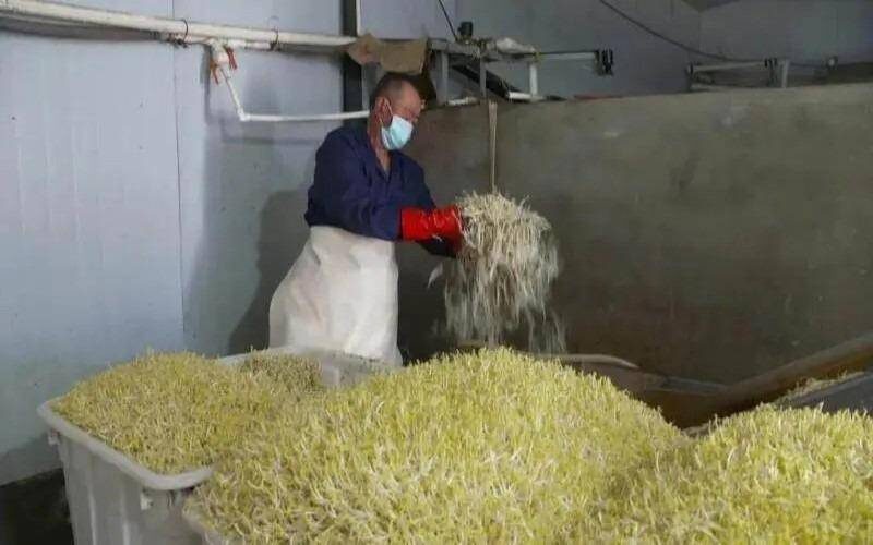 投资小利润高的小生意-1 投资小利润高的小生意-1