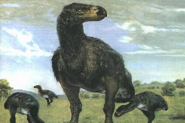 已灭绝的十大最强怪物(十大灭绝的可怕古生物)-1 已灭绝的十大最强怪物(十大灭绝的可怕古生物)-1