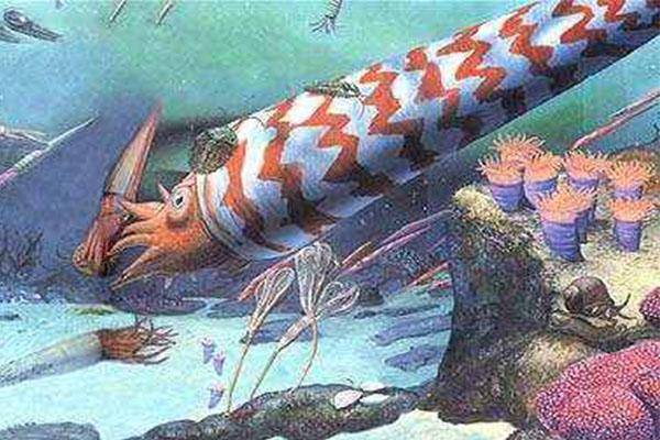 已灭绝的十大最强怪物(十大灭绝的可怕古生物)-1 已灭绝的十大最强怪物(十大灭绝的可怕古生物)-1