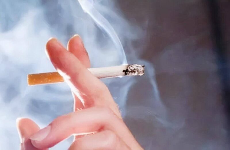 什么烟好抽又显档次(好抽不贵的四款良心烟)-1