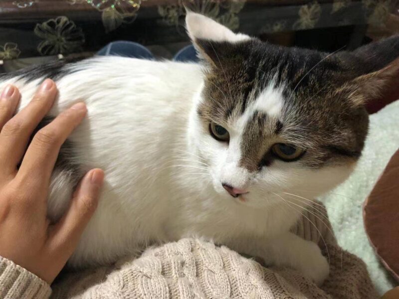 给女生送礼物送什么好?送女士不贵又实用的礼物-1 给女生送礼物送什么好?送女士不贵又实用的礼物-1