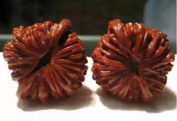 文玩核桃前十名(文玩核桃前十名排行榜)-1 文玩核桃前十名(文玩核桃前十名排行榜)-1