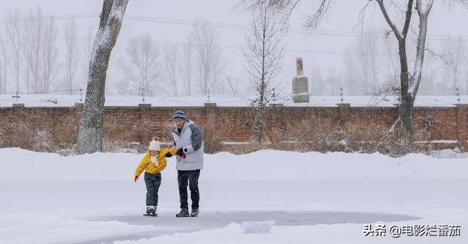 国产电视剧排行榜前十名(最受欢迎的电视剧排行榜)-1 国产电视剧排行榜前十名(最受欢迎的电视剧排行榜)-1