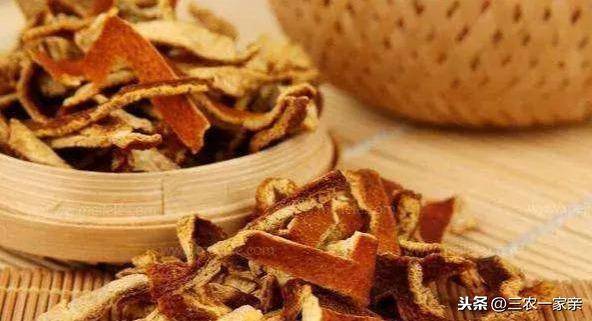 小鸡吃什么食物(在家里养小鸡技巧)-1