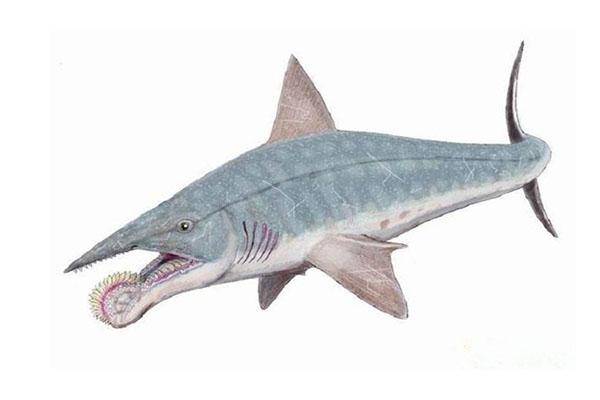 已灭绝的十大最强怪物(十大灭绝的可怕古生物)-1 已灭绝的十大最强怪物(十大灭绝的可怕古生物)-1