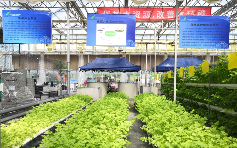 农业类型有哪几种?18种主要农业类型-1 农业类型有哪几种?18种主要农业类型-1