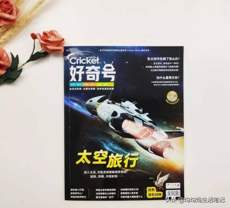 给孩子值得订阅的十大杂志(十大畅销杂志排行榜)-1