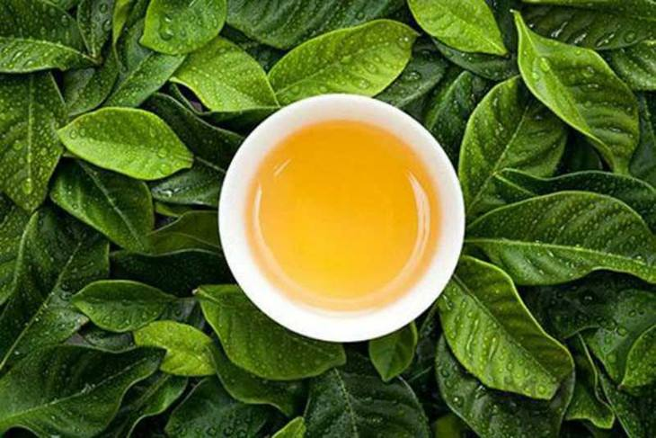 福建十大名茶品牌(福建名茶排行榜)-1