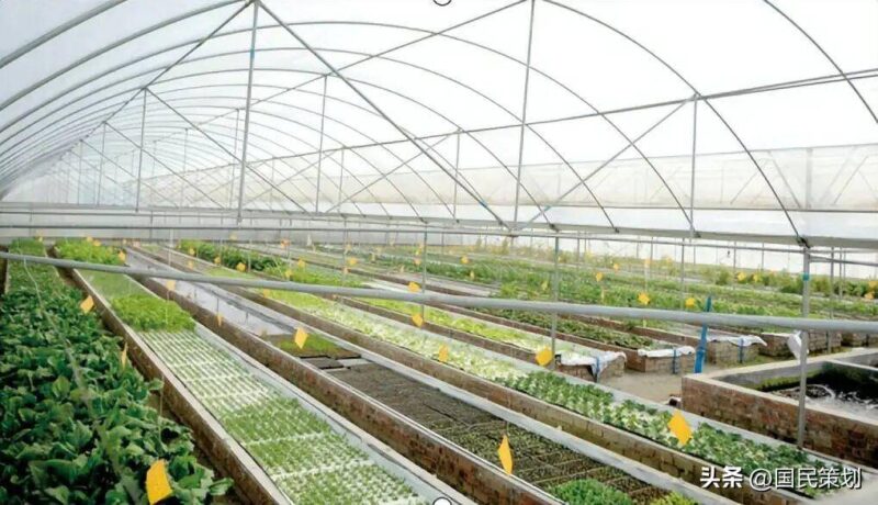 农村基础设施建设包括哪些?乡村振兴基础设施建设内容-1 农村基础设施建设包括哪些?乡村振兴基础设施建设内容-1