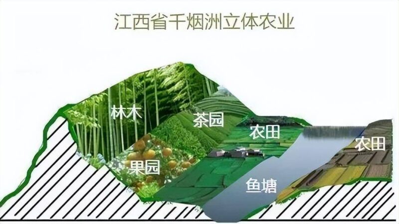 农业类型有哪几种?18种主要农业类型-赚在家创业号