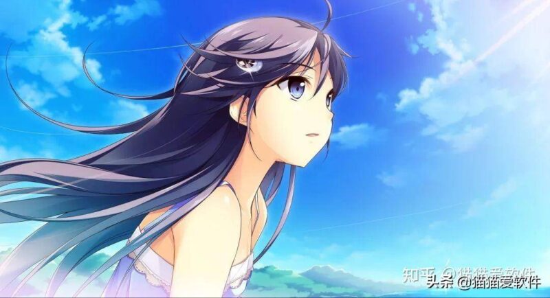 常用的办公软件有哪些?14个计算机常用办公软件-1