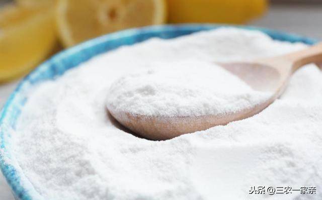 小鸡吃什么食物(在家里养小鸡技巧)-1