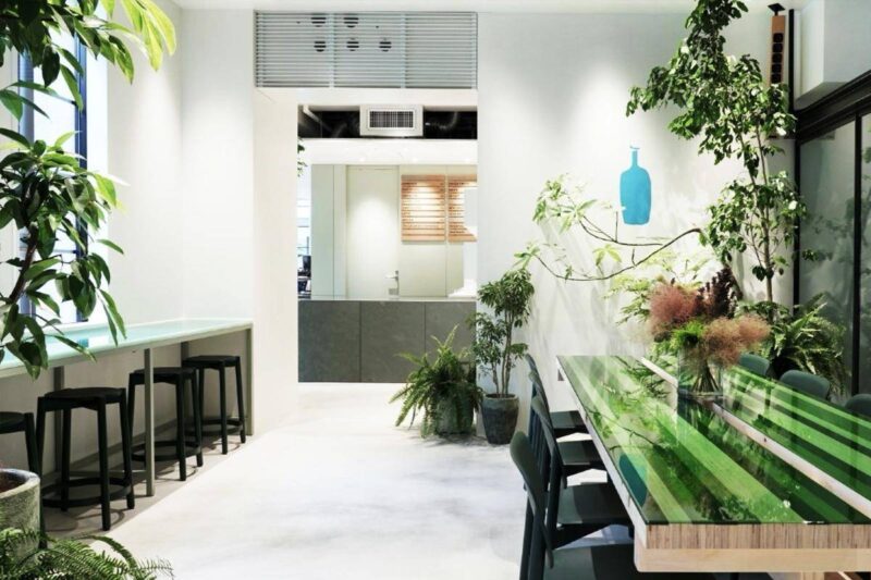 朋友开店一般送什么礼物好?朋友新店开业七个礼物-1 朋友开店一般送什么礼物好?朋友新店开业七个礼物-1