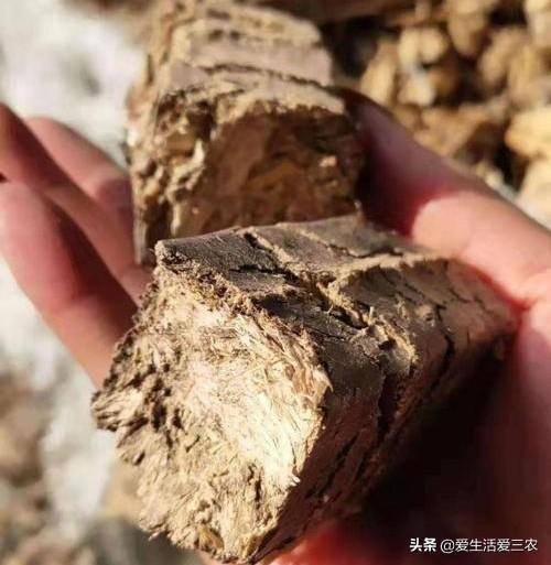 小型加工厂好项目排行榜(小型创业项目排行榜)-1 小型加工厂好项目排行榜(小型创业项目排行榜)-1