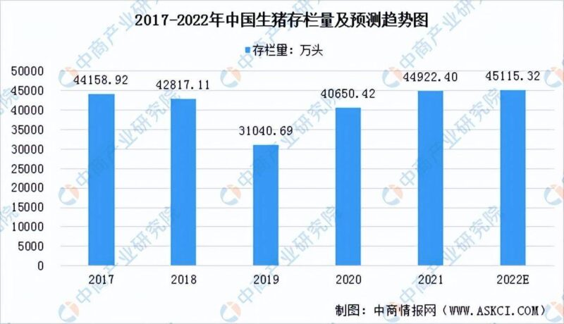 现在养猪前景如何?2022年养猪的前景分析-1 现在养猪前景如何?2022年养猪的前景分析-1