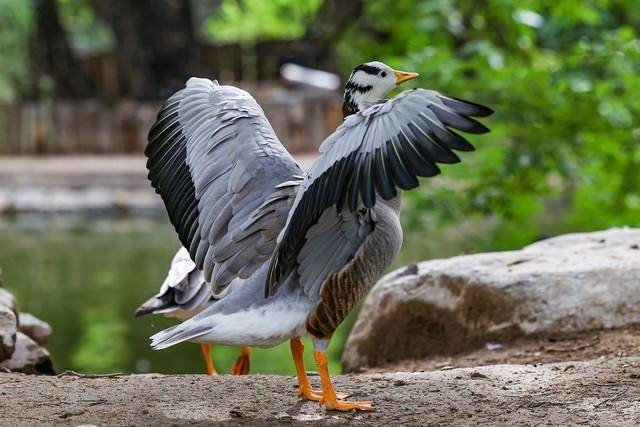 索尼微单全画幅相机排行(性价比最高的微单相机排行榜)-1 索尼微单全画幅相机排行(性价比最高的微单相机排行榜)-1