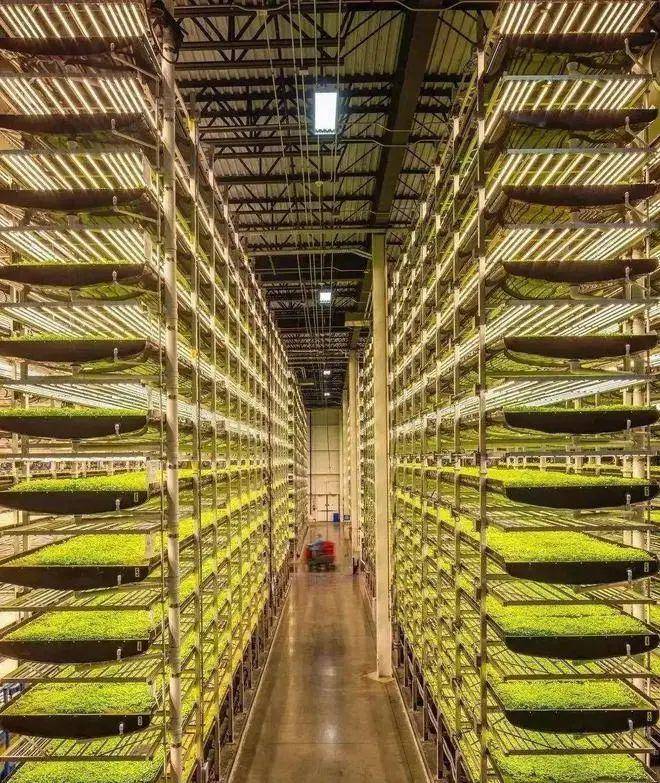 农业类型有哪几种?18种主要农业类型-1 农业类型有哪几种?18种主要农业类型-1