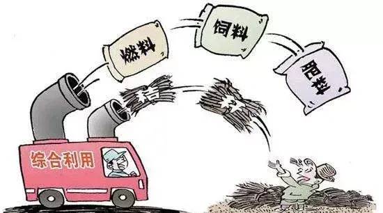 秸秆如何利用？农村秸秆处理方法-赚在家创业号