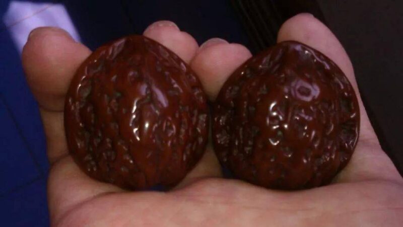 文玩核桃前十名(文玩核桃前十名排行榜)-1 文玩核桃前十名(文玩核桃前十名排行榜)-1