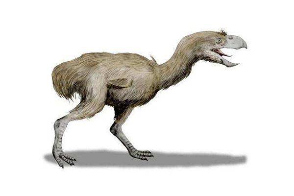 已灭绝的十大最强怪物(十大灭绝的可怕古生物)-1 已灭绝的十大最强怪物(十大灭绝的可怕古生物)-1