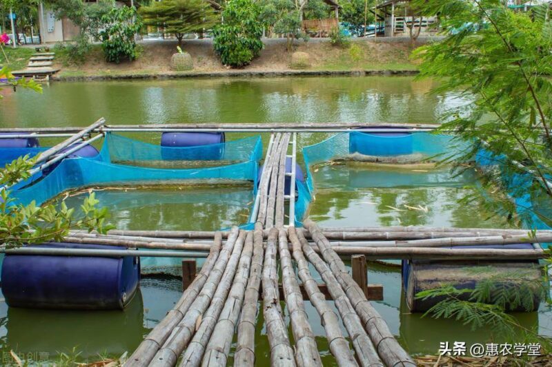 农村养殖政府扶持项目(养殖项目合作国家扶持)-1 农村养殖政府扶持项目(养殖项目合作国家扶持)-1