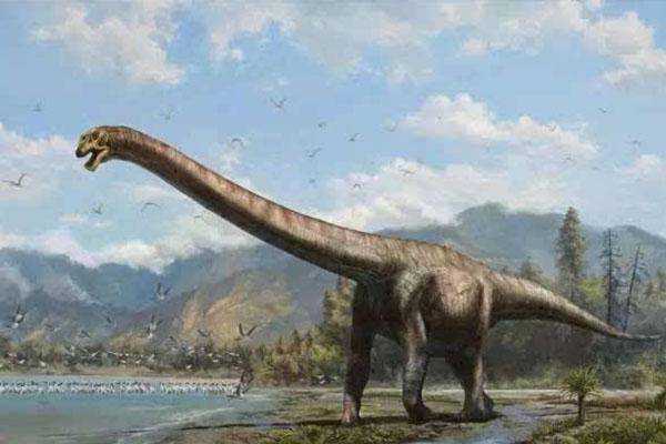 已灭绝的十大最强怪物(十大灭绝的可怕古生物)-1 已灭绝的十大最强怪物(十大灭绝的可怕古生物)-1