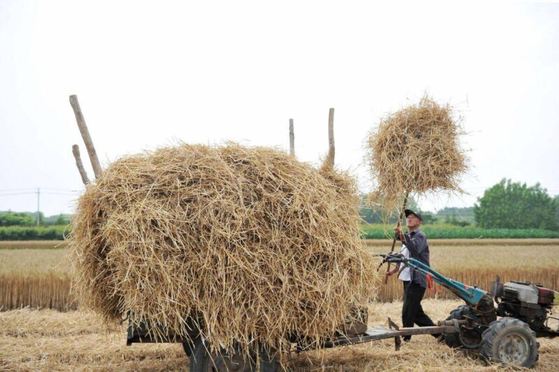 农村什么项目投资小赚钱快?推荐六个家庭致富项目-1 农村什么项目投资小赚钱快?推荐六个家庭致富项目-1