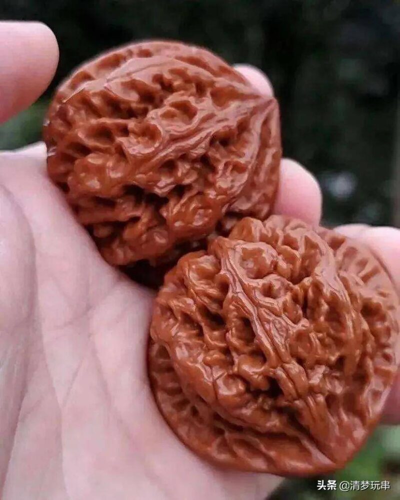 文玩核桃前十名(文玩核桃前十名排行榜)-1 文玩核桃前十名(文玩核桃前十名排行榜)-1