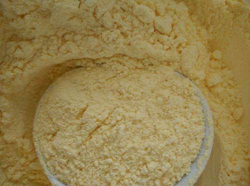 屋内出现很多带翅膀的蚂蚁怎么消灭-1 屋内出现很多带翅膀的蚂蚁怎么消灭-1