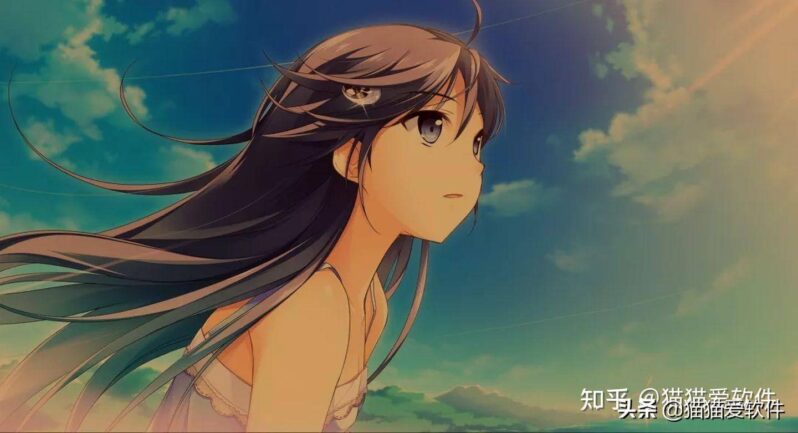 常用的办公软件有哪些?14个计算机常用办公软件-1