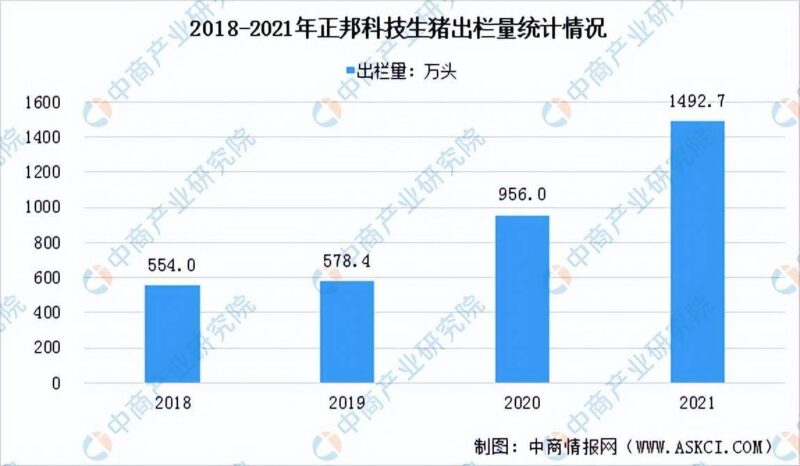 现在养猪前景如何?2022年养猪的前景分析-1 现在养猪前景如何?2022年养猪的前景分析-1